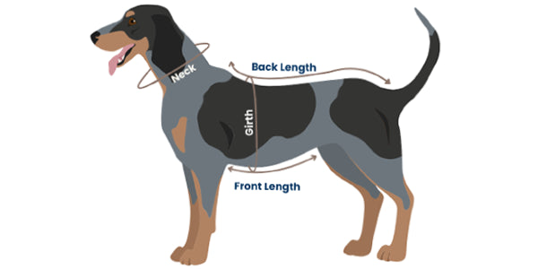 Zoomies - Shirt for Dogs